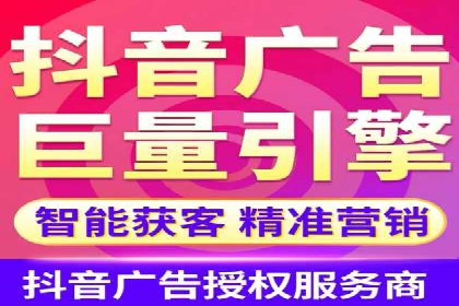 谷歌竞价广告的投放策略与成功案例分析